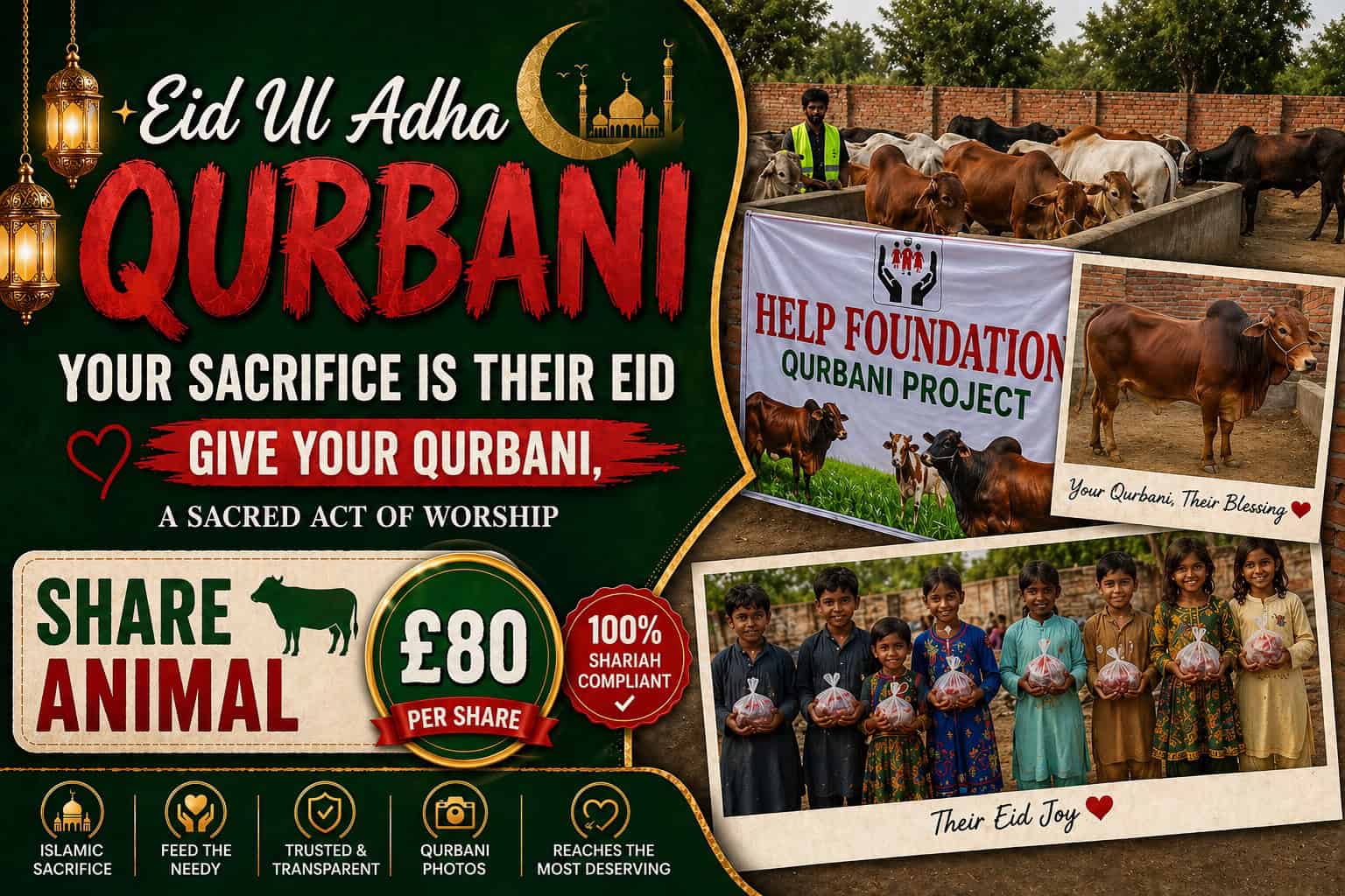 Green Eid Ul Adha poster promoting Qurbani with bold red 'QURBANI' typography and 'Share Animal' call-to-action; £80 per share.